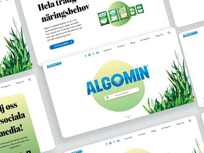 Algomin | Web design