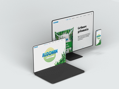 Algomin | Web design design graphic design web