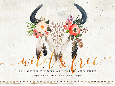 Wild & Free boho bull ethnic tribe wild