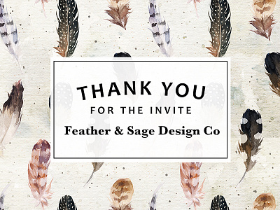 Thanks Feather   Sage Design Co