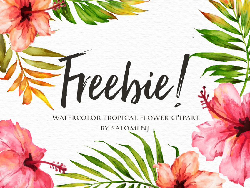 Freebie-Watercolor Tropical Flower by Salome NJ on Dribbble