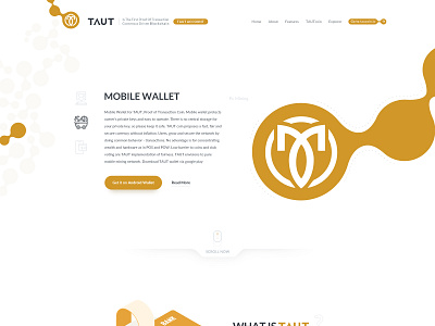 TAUT Site Design design ivahid ui webdesign