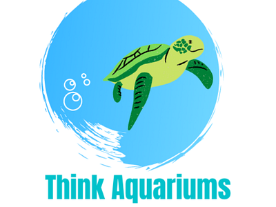 Aquariums animal aqua aquariamlogo aquarium aquatic blue bubble cool cool logo cute design green logo logodesign nice ocean ocean logo oceanic turtle water