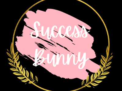 Success Bunny 1 cool design logo logodesign nice