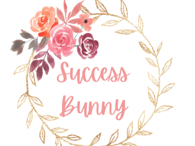 Success Bunny cool cute design logo logodesign nice