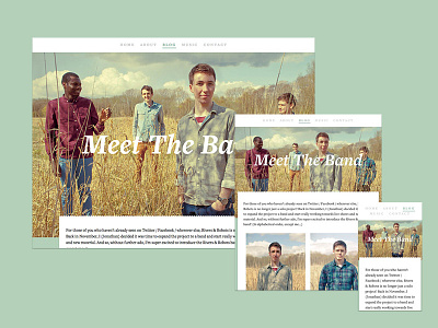 Meet The Band blog page post responsive