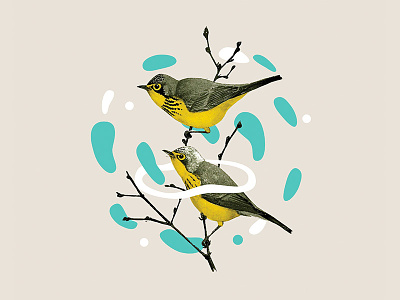 Sing A New Song birds blobs branch collage vector