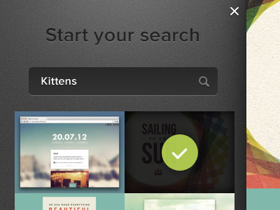 Kitten Search