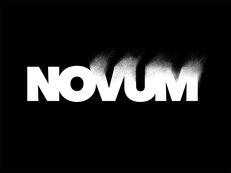Novum adobe design gif graph grid illustrator letter letter-mark logo novum style typography