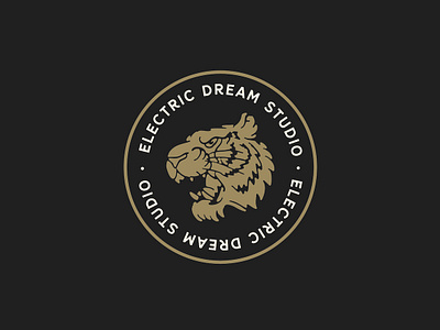Electric Dream Studio (Variations)