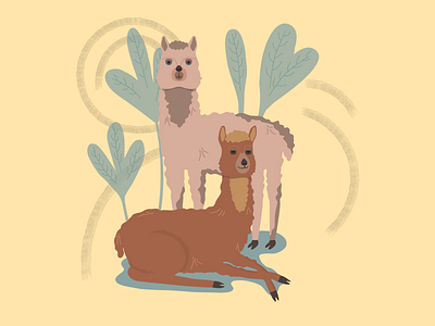 Happy alpacas alpaca animal animals design digital digital art digital illustration digital painting digitalart illustration illustration art illustrations illustrator vector vector art vector illustration vectorart vectors