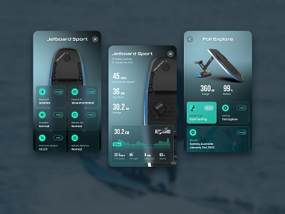 The Next Water Sports｜Dashboard Database dashboard database design icon interface mobile sea speed sport travel ui uiux web