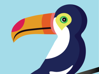 t 3x colorful design illustration toucan