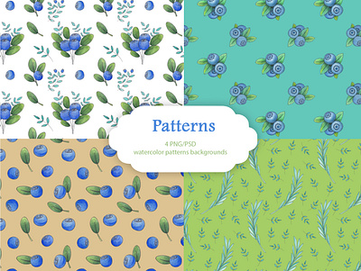 Blueberries kit simple patterns blueberries branding design design set graphic design illustration logo post cards set watercolor