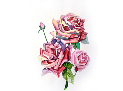 Roses branding design graphic design illustration watercolor