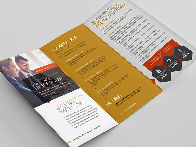Financial Services Brochure: Inside print brochure
