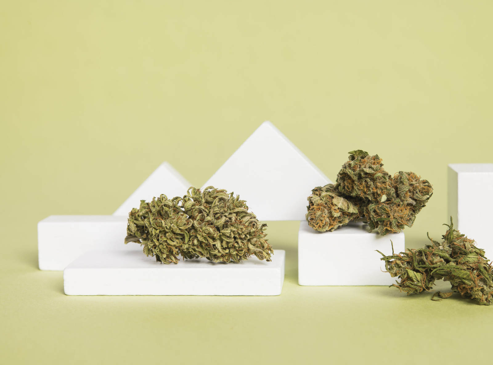 CBD Still Life Product Photography cannabis cannabis design cbd cbd packaging design drug hemp nature photography product photography shimejicreatives startup still life sustainability sustainable