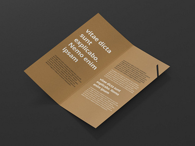 Brochure Design