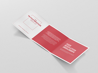 Square Trifold Brochure Mock-Up brochure design editorial mock up mockup print typo