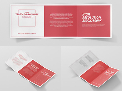 Trifold Brochure Mockup Bundle brochure design editorial mock up mockup print typo