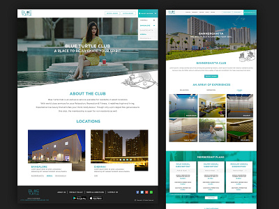 BlueTurtle Club landing page ui ux design web page web ui website design