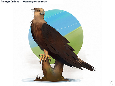 Birds of Siberia - Eagle