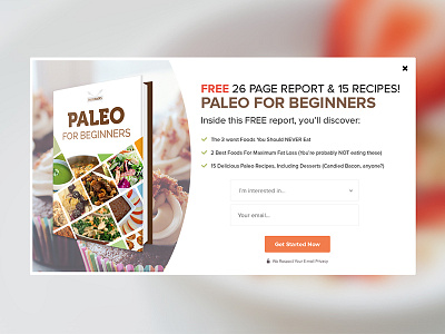 Paleo Banner Concept ads design banner graphic design marketing material website