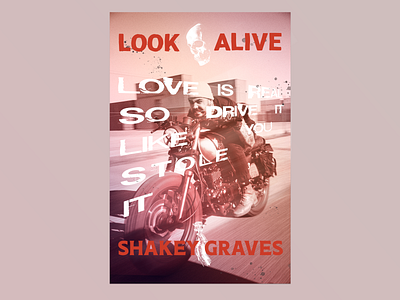 Shakey Graves poster music poster print shakey graves
