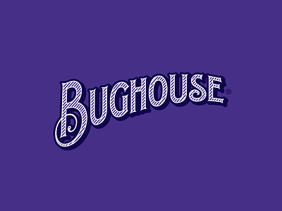 Bughouse Logo branding bugs children handdrawn type identity logo logo design logotype whimsical