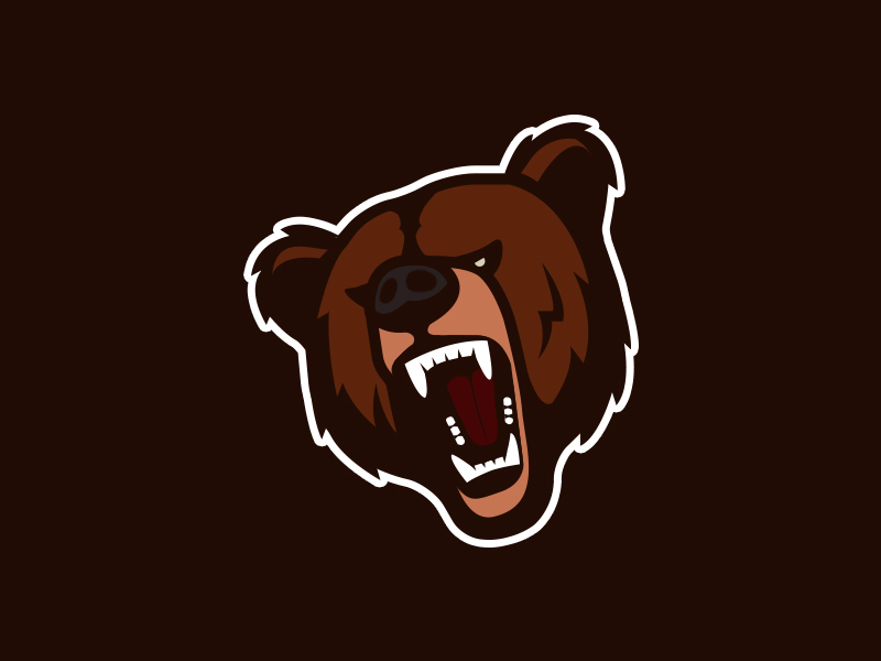 Grizzly Bear by Olivier Hernandez on Dribbble