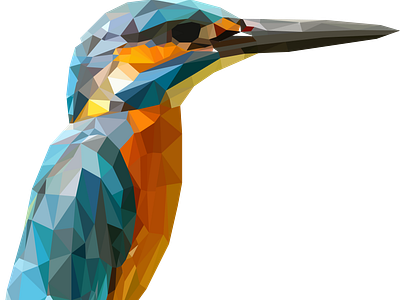 kingfisher (polygonal vectorization)