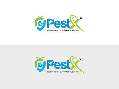 Pestex pro animation branding clean design flat graphic design icon illustrator logo minimal