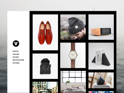 Visualist Concept