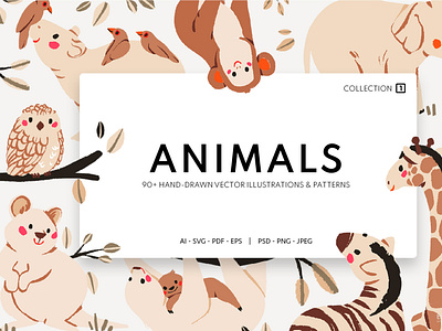 Animals - Collection 1