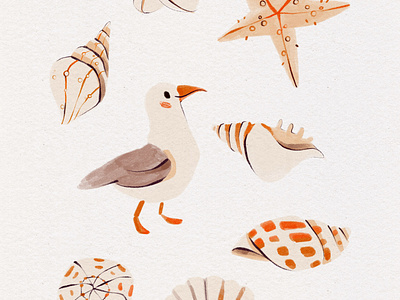 Gouache Painting of Sea Shells