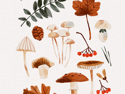 Autumn Botanical Watercolor Painting autumn forest painting autumn illustration autumn mushrooms botanical art botanical illustration botanical painting childrens illustration fall colors fall illustration forest illustration illustration kids illustration leaves painting mushroom painting nature illustration painting textured painting traditional media look warm browns watercolor botanical