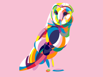 Colorful Tyto Alba Owl