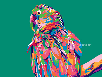 Colorful Parrot animal animal art animal illustration colorful art illustration parrot parrot logo parrots pop art portrait popart portrait art portrait illustration vector art vector illustration vectorart wpap