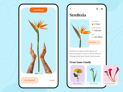Rootshare • Plants App android app blue clean flowers garden growth ios minimal modern orange plants product design root ui ux