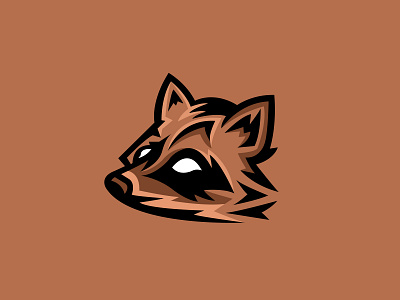 Raccoon app branding design icon logo logo mark minimal raccoon vector
