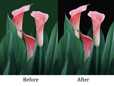 flower before after background design background remove before after before and after design graphicsdesign illustration illustrator photoshop poster