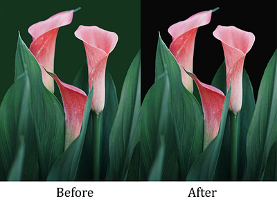 flower before after