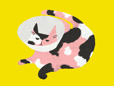 You'll be feline yourself in no time! cats design digital illustration hand drawn illustration texture