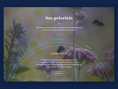 A full screen circle slider 2019 biodiversity circle fullscreen homepage js picture slider webdesign