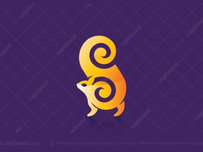 Logo Letter S Squirrel animation app design icon illustrator logo website