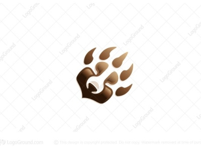 Logo Bear Claw app branding computer logo design gaminglogo illustration illustrator logo technology logo typography