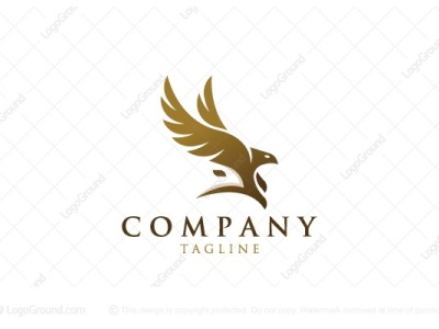 Logo Twin Eagle branding design illustration illustrator logo technology logo