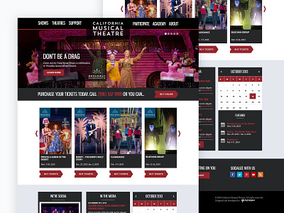 California Musical Theatre Website design sacramento web design website wordpress