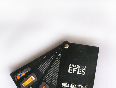 brochure design for EFES