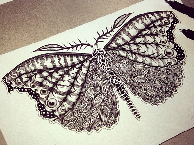 Butterfly Wing Study design detail doodle drawing hand drawn icon illustration paper pen sketch surreal